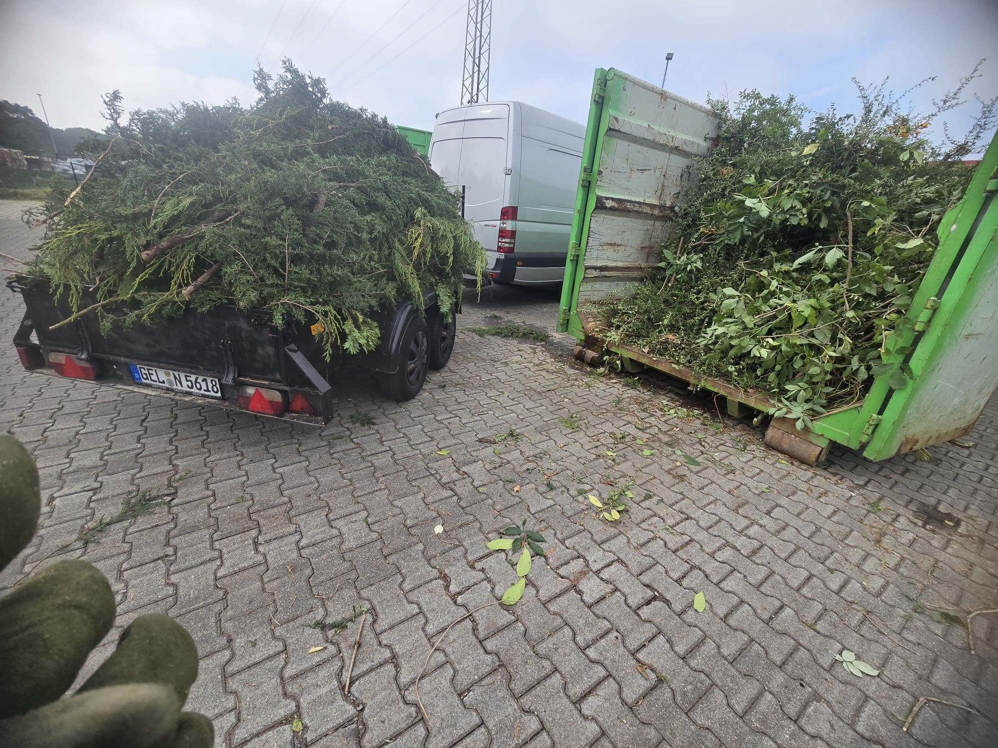 Grünschnitt-Abtransport nach Gartenarbeit – Alin & Neli Geldern