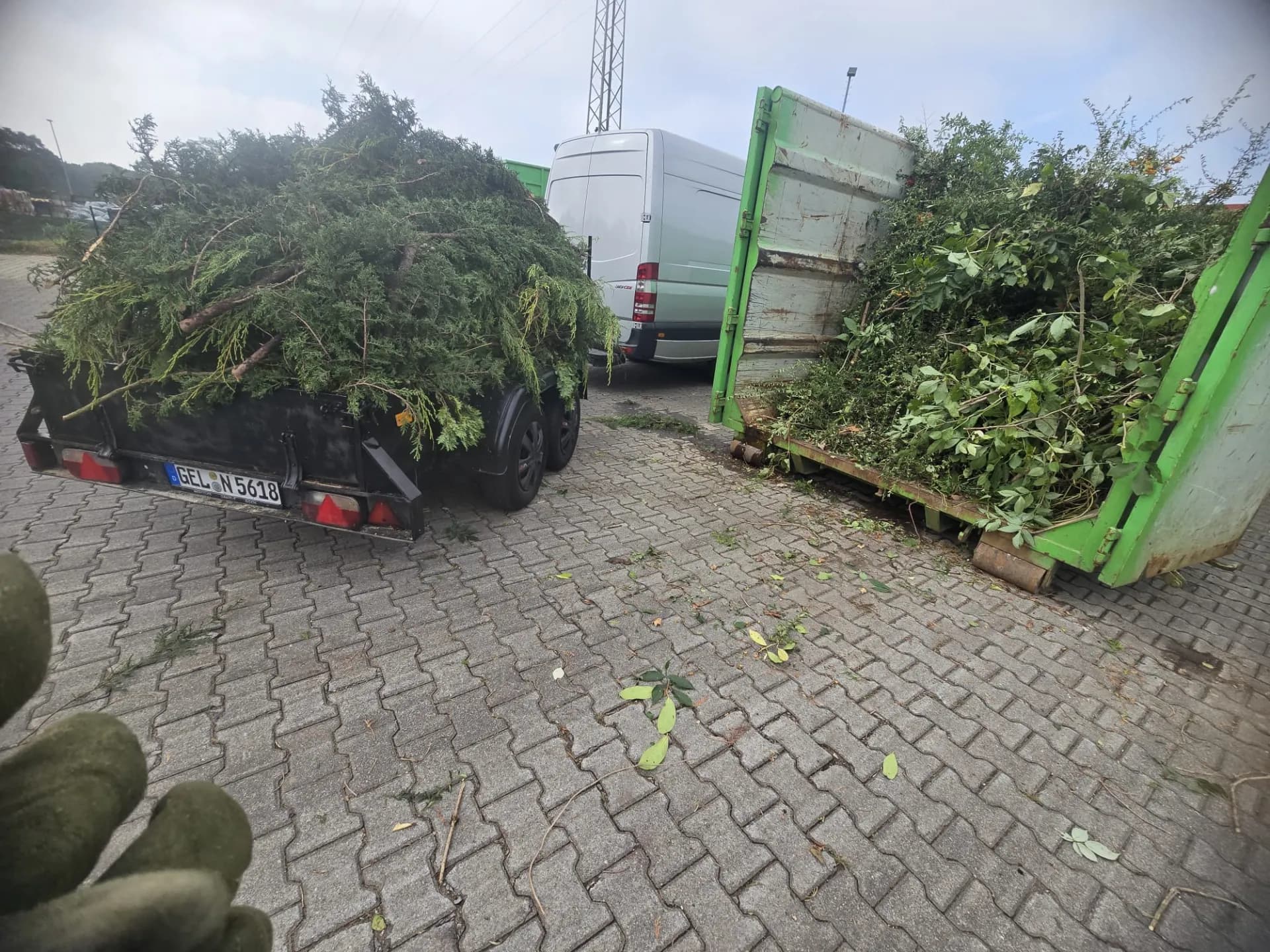 Grünschnitt-Abtransport nach Gartenarbeit – Alin & Neli Geldern