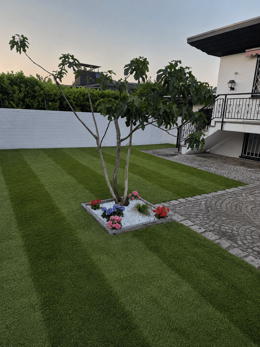 Garten nachher – satter Rasen mit Baum und Blumenbeet